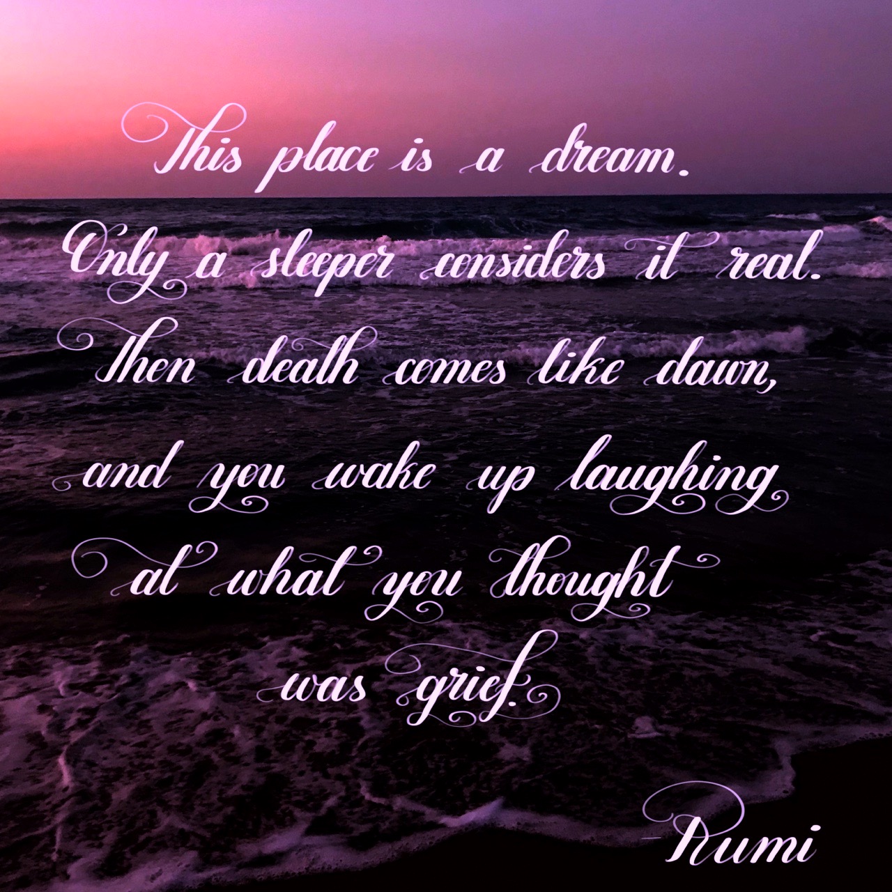 This place is a dream